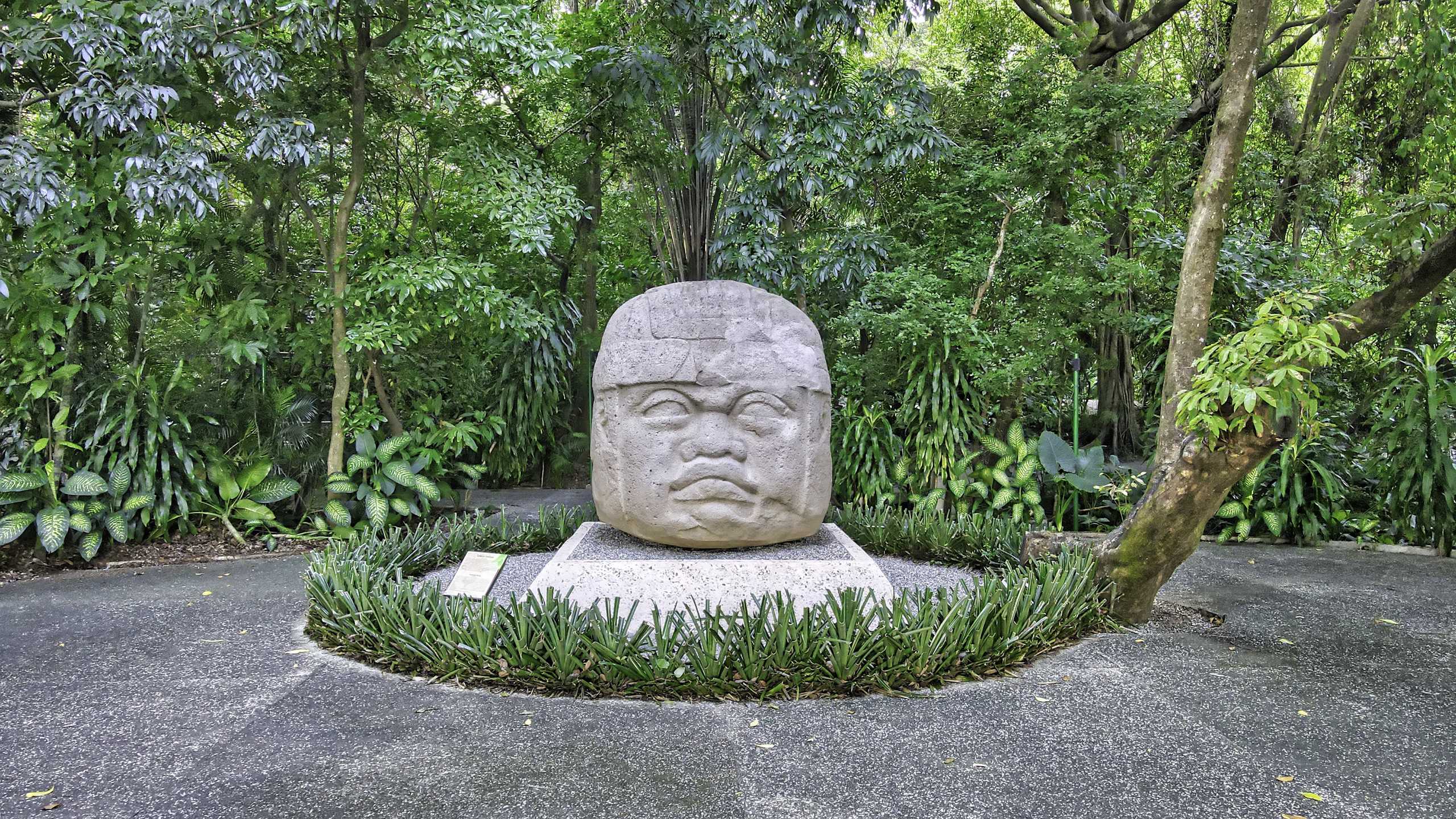 Cabeza colosal de la cultura olmeca exhibida en el Parque-Museo La Venta