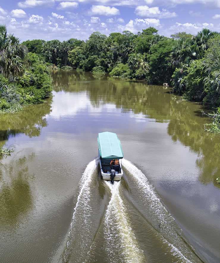 Tour Pantanos de Centla