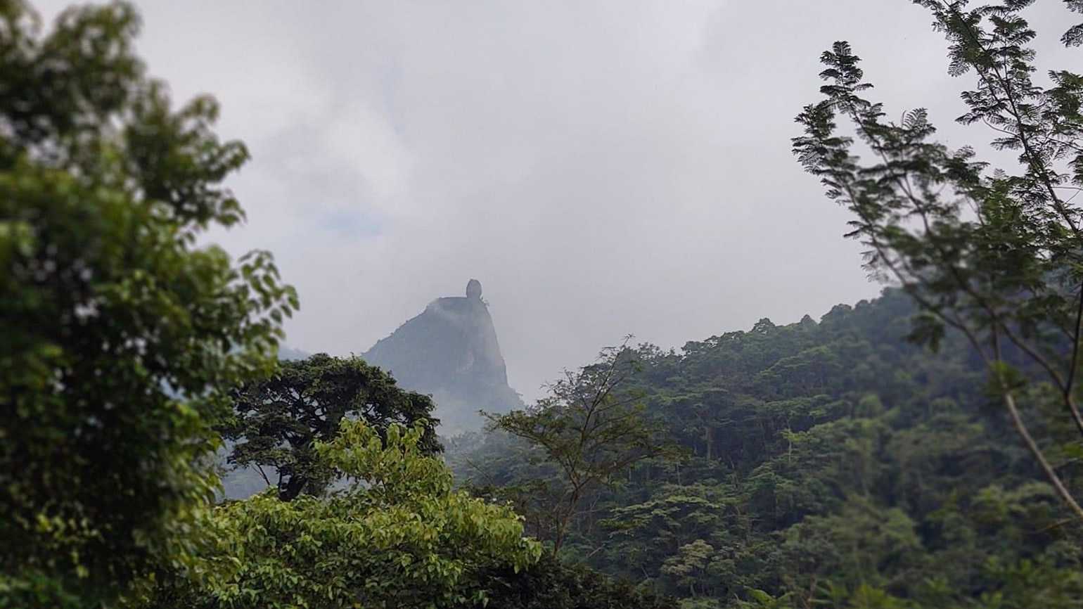 Aventura en Agua Selva